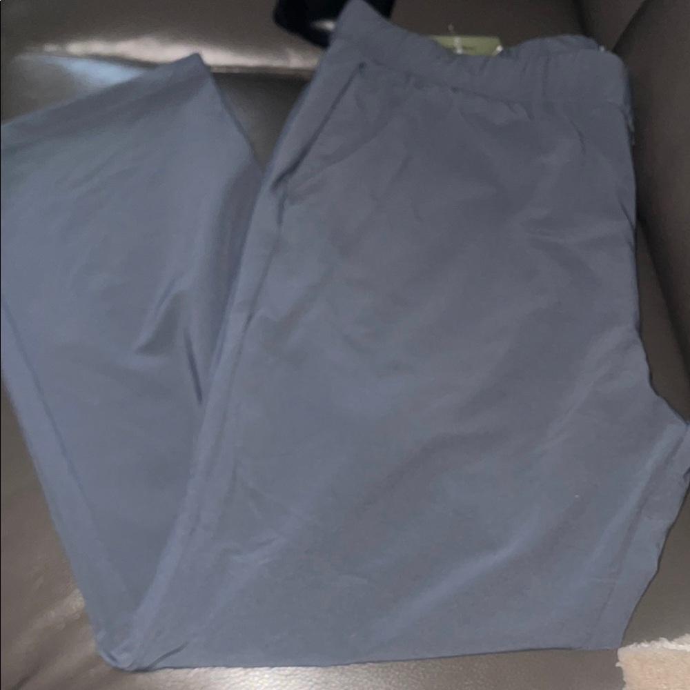 Goodfellow & Co Gray Tech Trousers - Picture 1 of 12